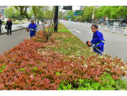 台州市绿能绿化工程有限公司